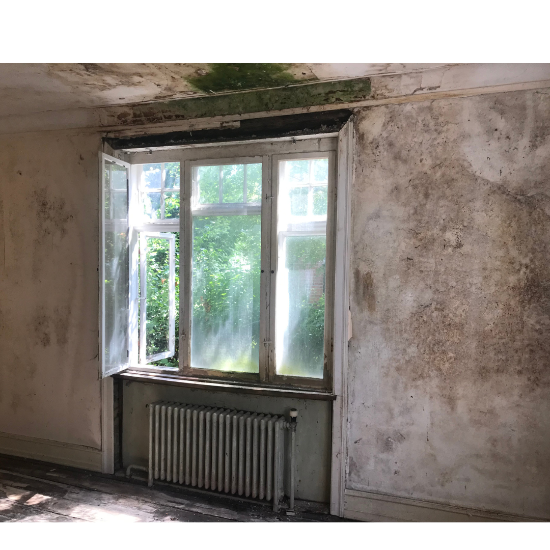 “It’s everyone’s problem.” Madison Estates tenants demand better conditions-Image
